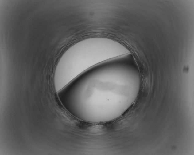 X0000097620609200802290822