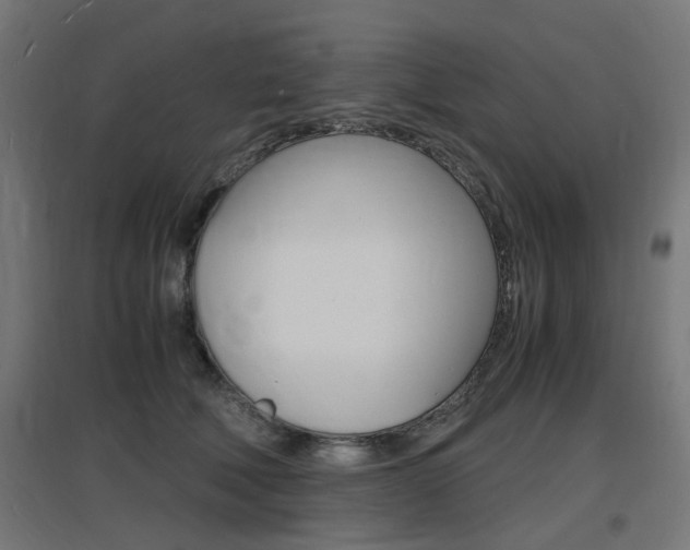 X0000097620610200802290821