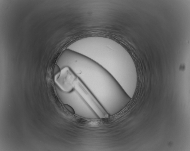 X0000097620611200802290821