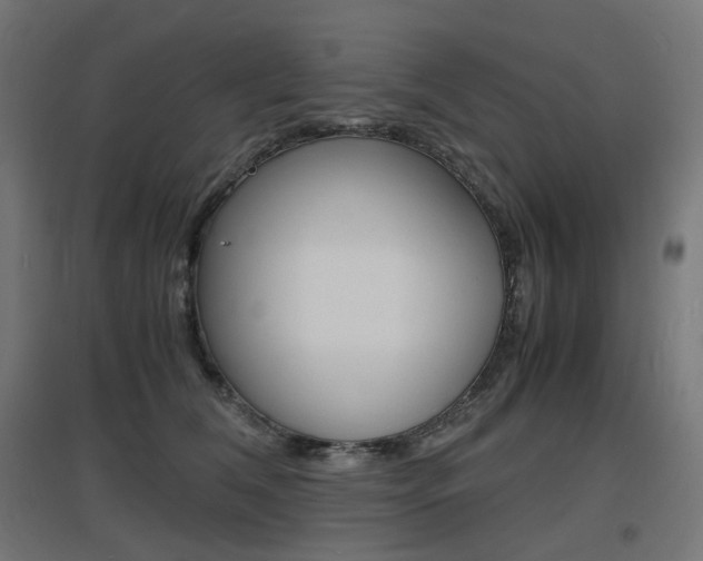 X0000097620612200802290821