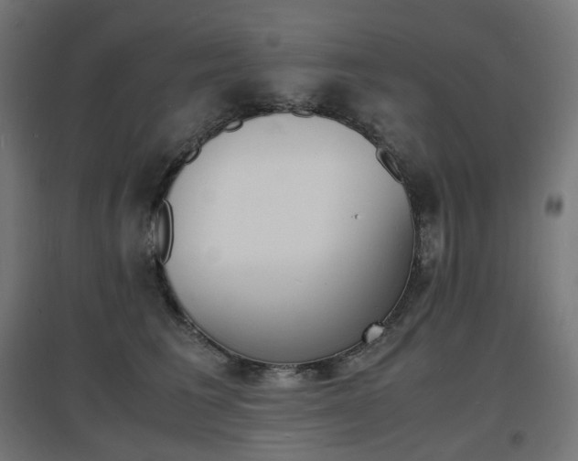 X0000097620613200802290821