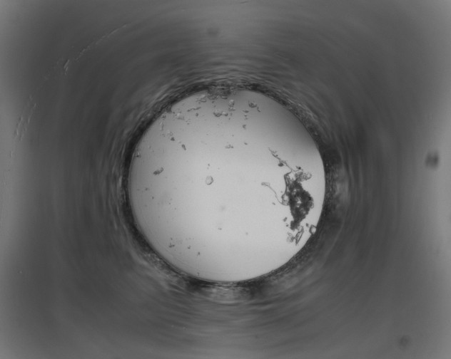 X0000097620615200802290821
