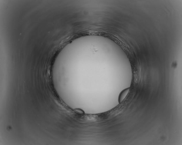 X0000097620618200802290821