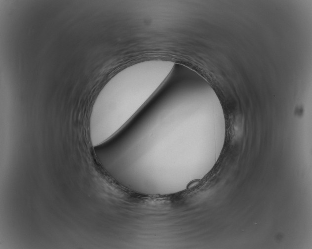 X0000097620619200802290821