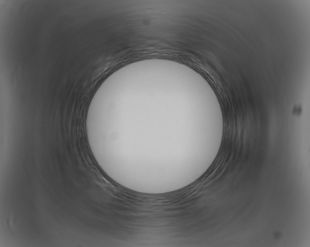 X0000097620621200802290821