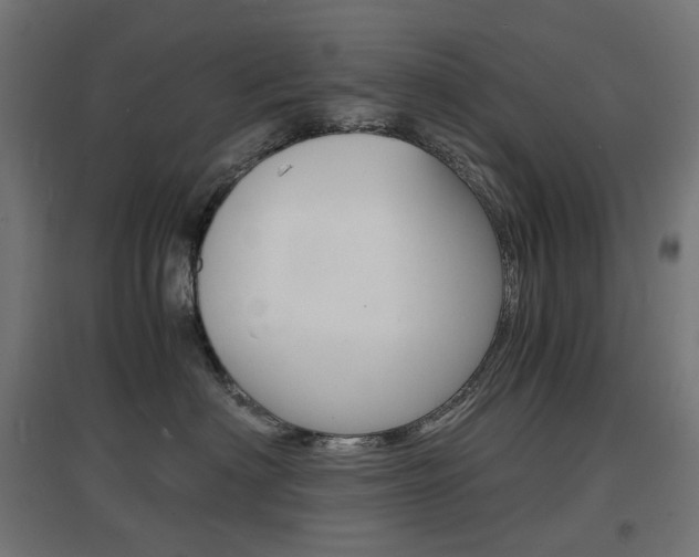 X0000097620622200802290821