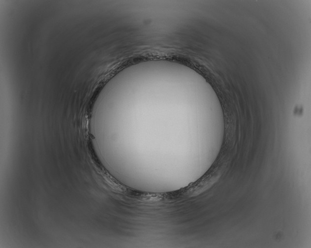 X0000097620624200802290821