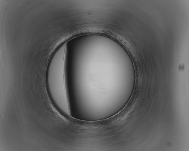 X0000097620625200802290821