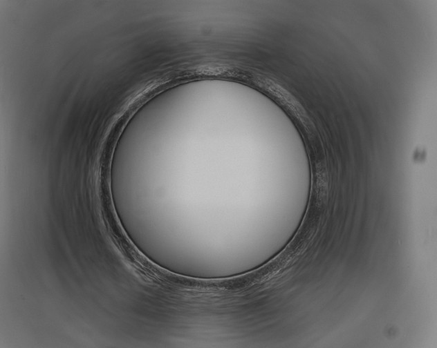 X0000097620626200802290821