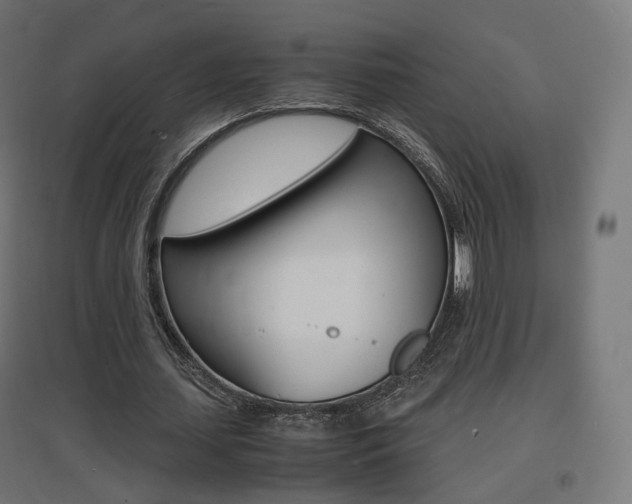 X0000097620627200802290821