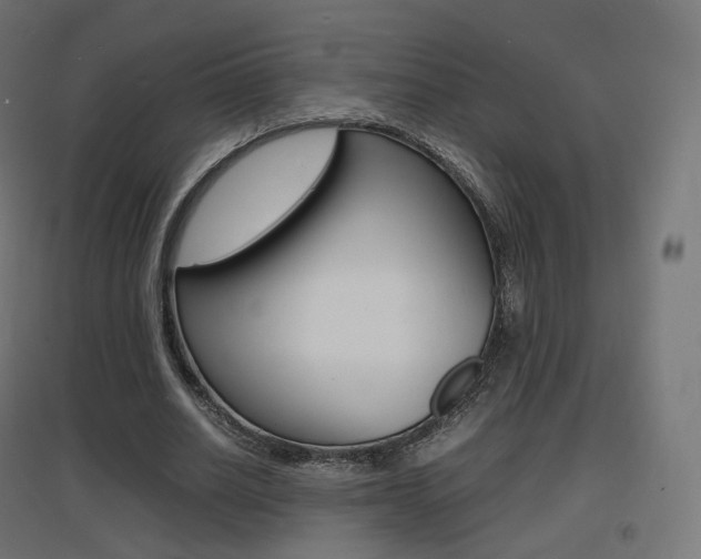 X0000097620630200802290821