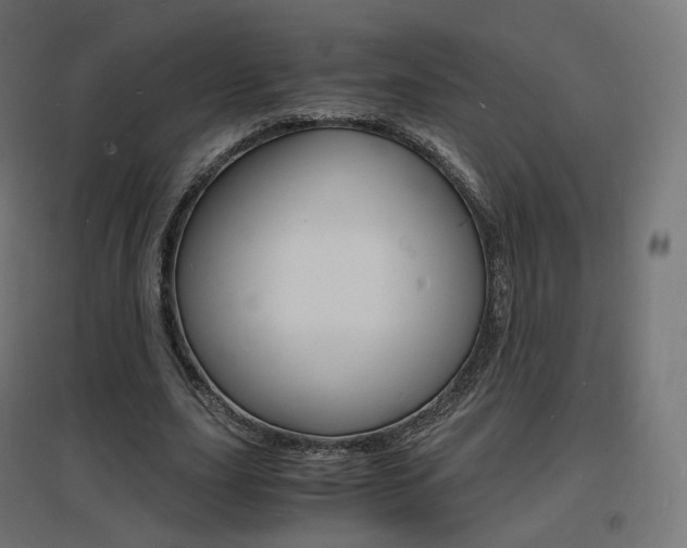 X0000097620631200802290821