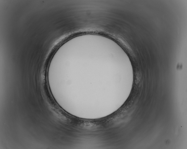 X0000097620632200802290821