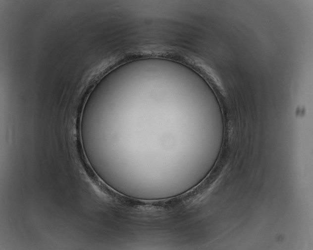 X0000097620633200802290821