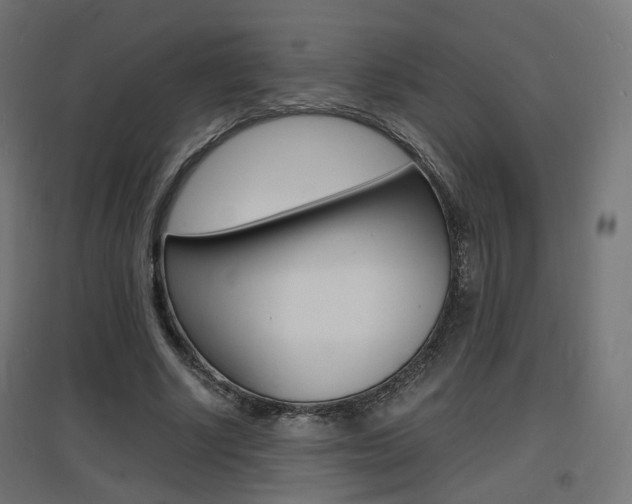 X0000097620634200802290821