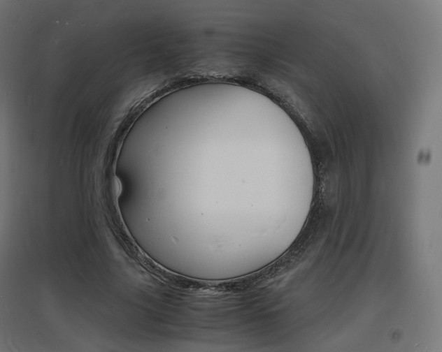 X0000097620635200802290821