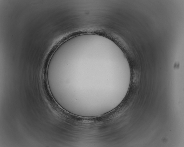 X0000097620636200802290821