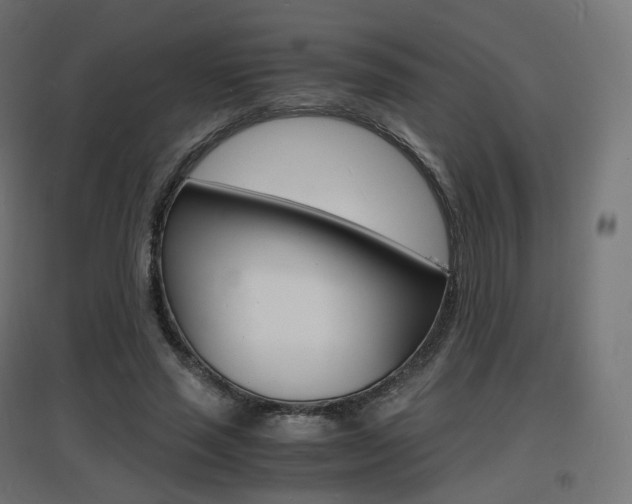 X0000097620637200802290821