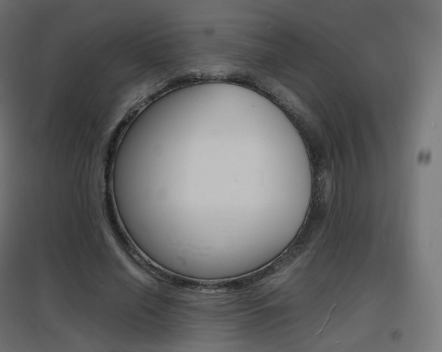 X0000097620638200802290821