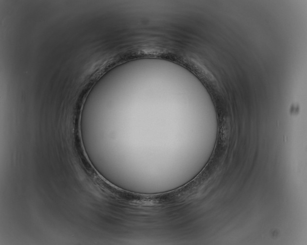 X0000097620639200802290821