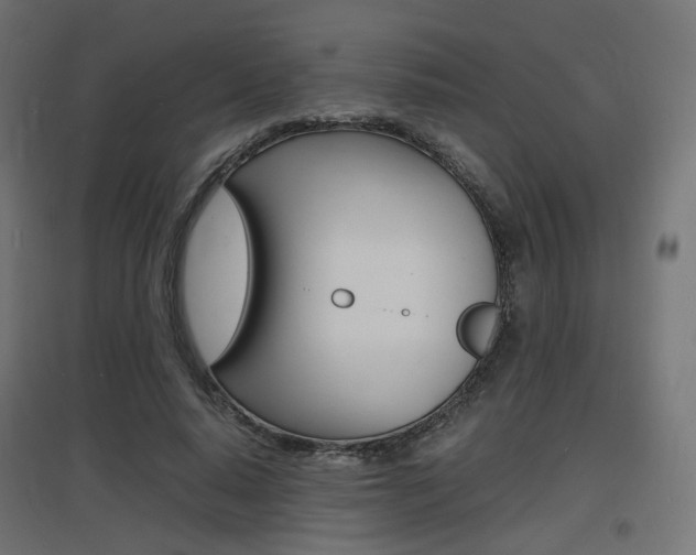 X0000097620640200802290821