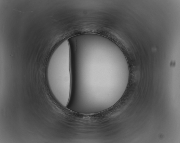 X0000097620641200802290821