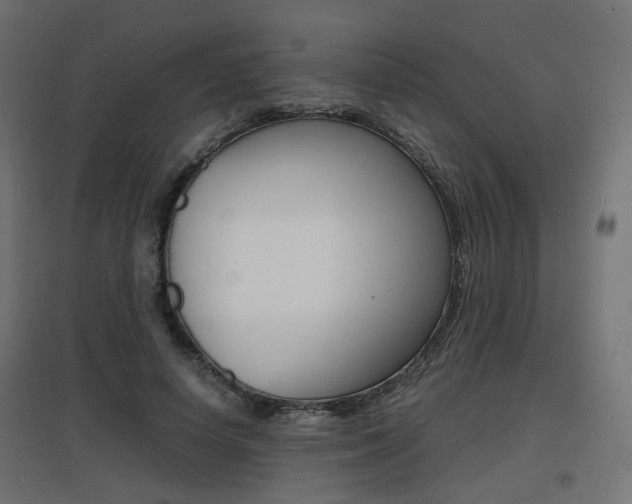 X0000097620642200802290821
