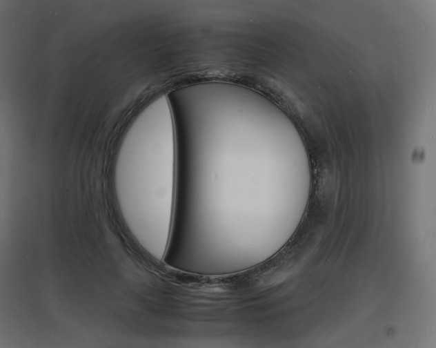 X0000097620643200802290821