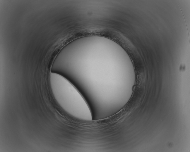 X0000097620644200802290821