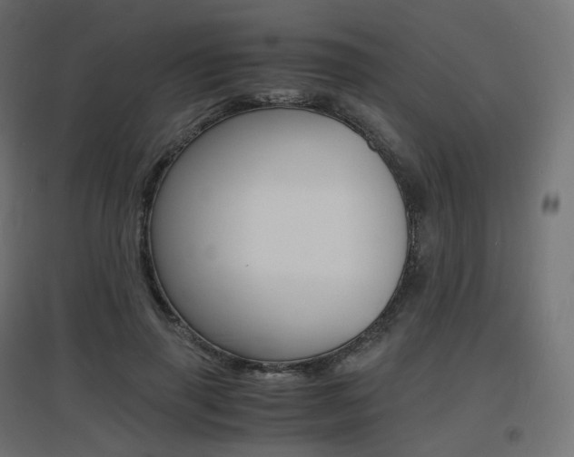X0000097620645200802290821