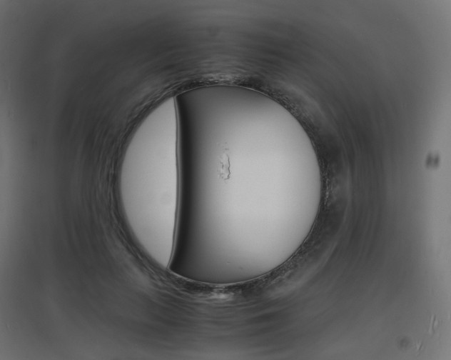 X0000097620647200802290821