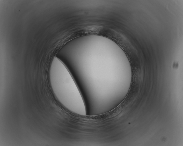 X0000097620649200802290821