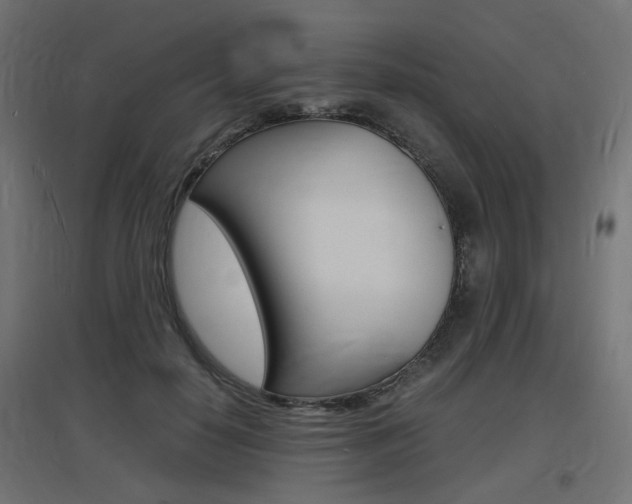 X0000097620650200802290821