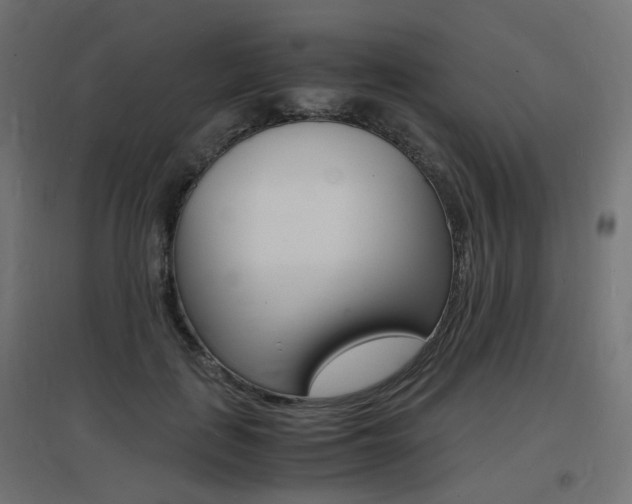 X0000097620651200802290821