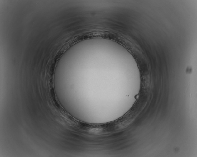 X0000097620653200802290821