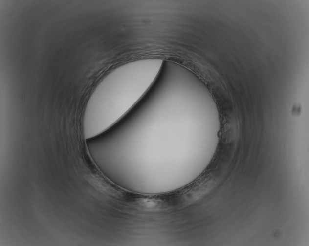 X0000097620654200802290821