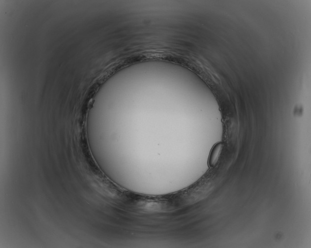 X0000097620655200802290821