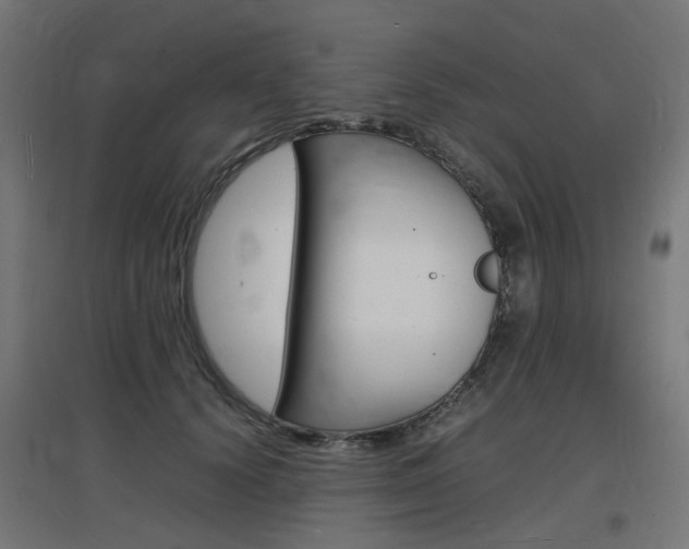 X0000097620656200802290821