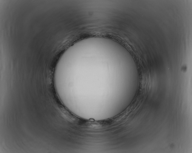 X0000097620658200802290821