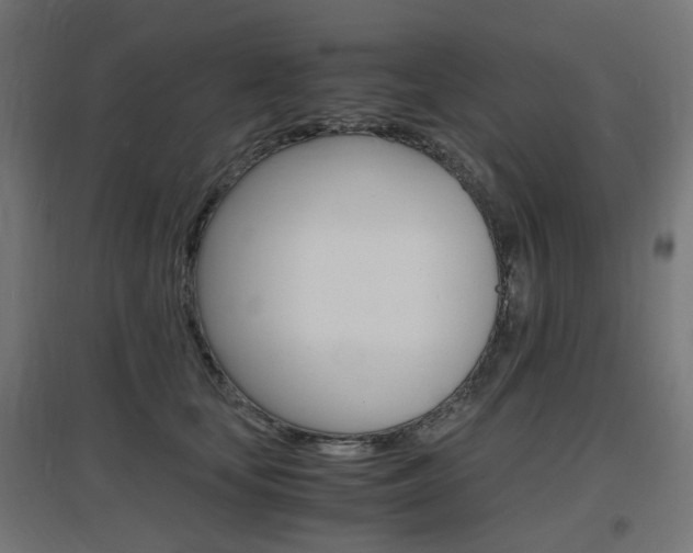 X0000097620659200802290821