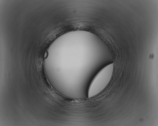 X0000097620660200802290821