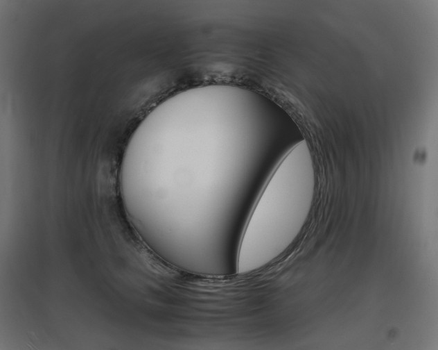X0000097620661200802290821