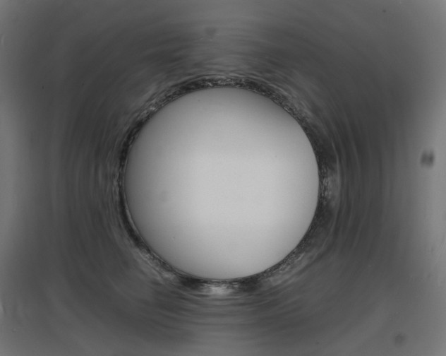 X0000097620662200802290821