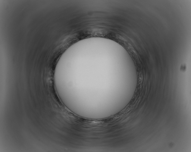 X0000097620663200802290821