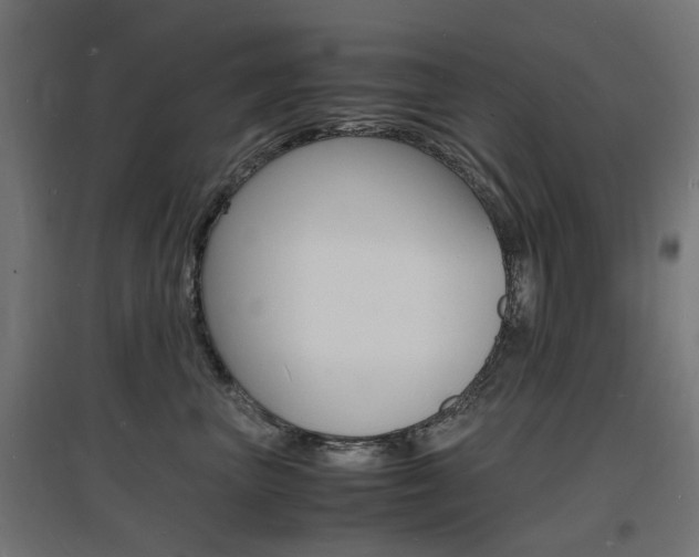 X0000097620667200802290821