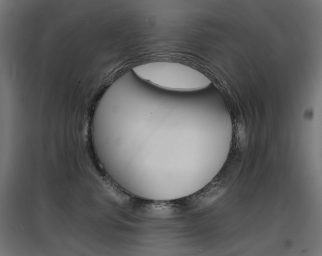 X0000097620668200802290821
