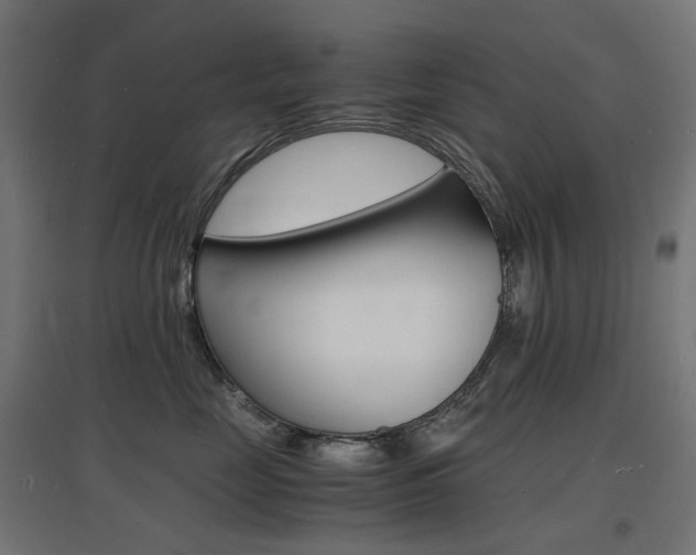 X0000097620669200802290821