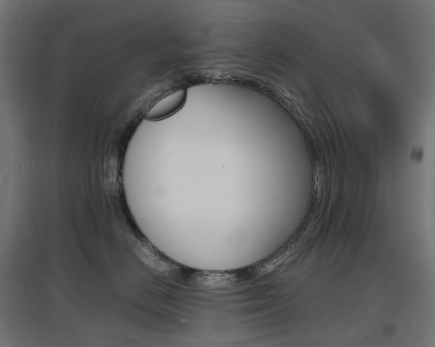 X0000097620670200802290821