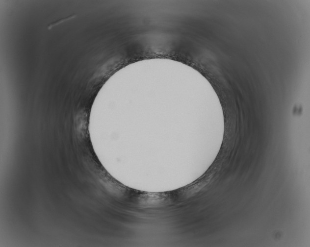 X0000097620672200802290821