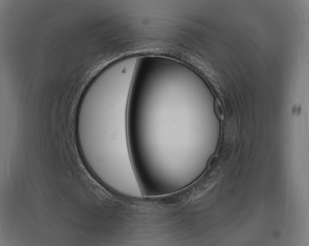 X0000097620673200802290821